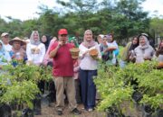 Dari Pekarangan ke Ketahanan Pangan, Gubernur Hidayat Arsani Dorong Pengendalian Inflasi melalui Gerakan Tanam Cabai