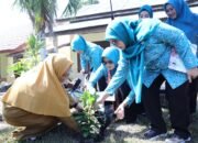 Pohon Butun jadi Simbol Pengingat Kunjungan Noni Hidayat ke SMAN 1 Sijuk
